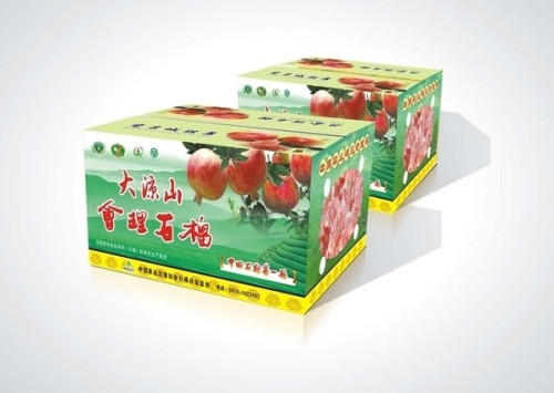 纸箱新闻|金汇彩