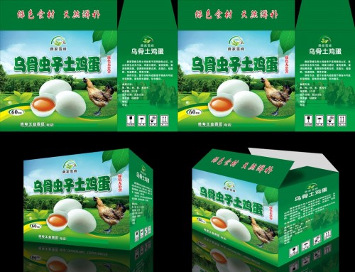 纸箱新闻|金汇彩