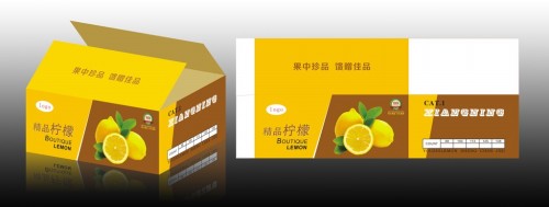 纸箱新闻|金汇彩